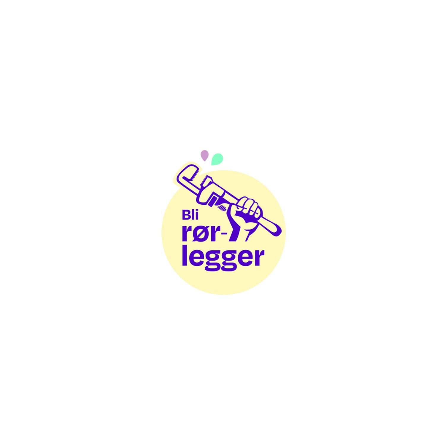 Thumbnail Bli Rorlegger Logo1 1