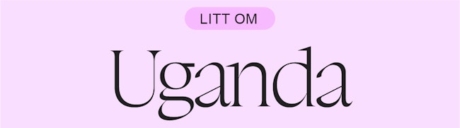 Tittel1 7